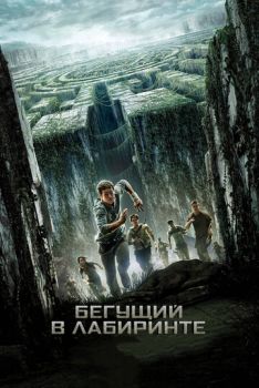 Бегущий в лабиринте 1